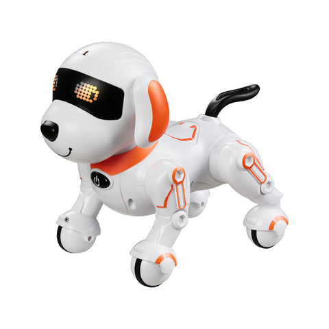 Programable Remote Control Dog Toy, SI0055