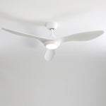 Livingandhome 52 Inch Ceiling Fan Light Fixture with Remote Control for Living Room, DM0172