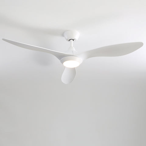 Livingandhome 52 Inch Ceiling Fan Light Fixture with Remote Control for Living Room, DM0172