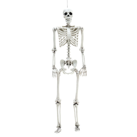 Livingandhome Halloween Realistic Full Body Skeleton Prop Decoration Posable Joints, SP1423