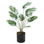 Livingandhome Potted Fake Plants Artificial Calathea White Fusion for Home Decoration, SW0253