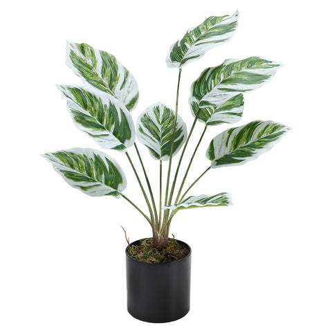 Livingandhome Potted Fake Plants Artificial Calathea White Fusion for Home Decoration, SW0253