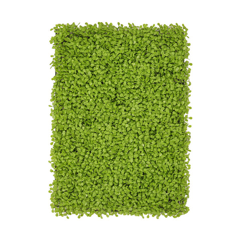 Livingandhome 40x60cm Artificial Living Wall Hedge Plant Panel, SW0448