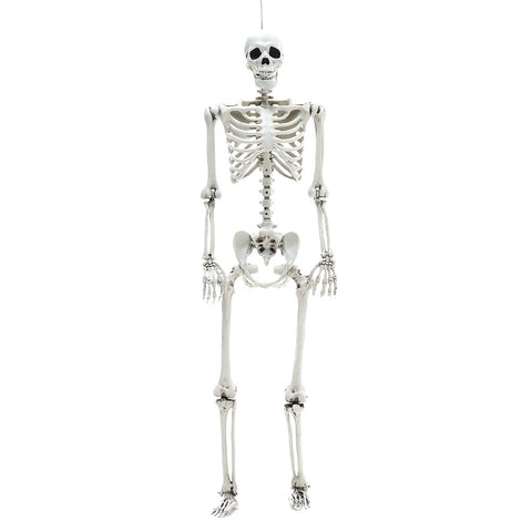 Livingandhome Halloween Realistic Full Body Skeleton Prop Decoration Posable Joints, SP2669