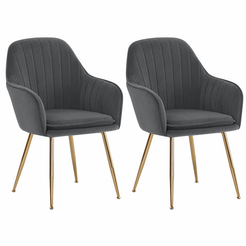 2Pcs Modern Velvet Upholstered Dining Chairs with Polished Gold Legs, FD240117