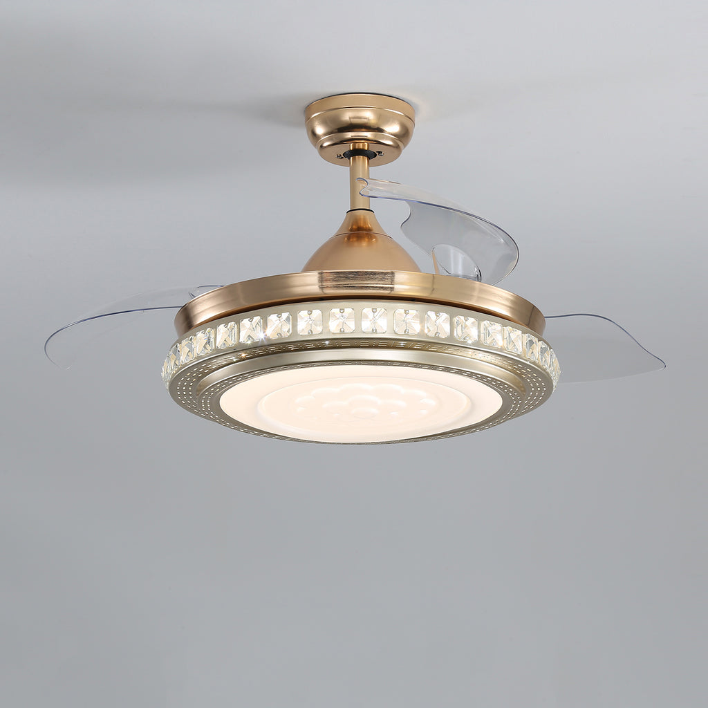 Fancy ceiling on sale fan with lights