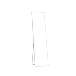 Livingandhome Modern Slim Frame Full Length Mirror, WF0032